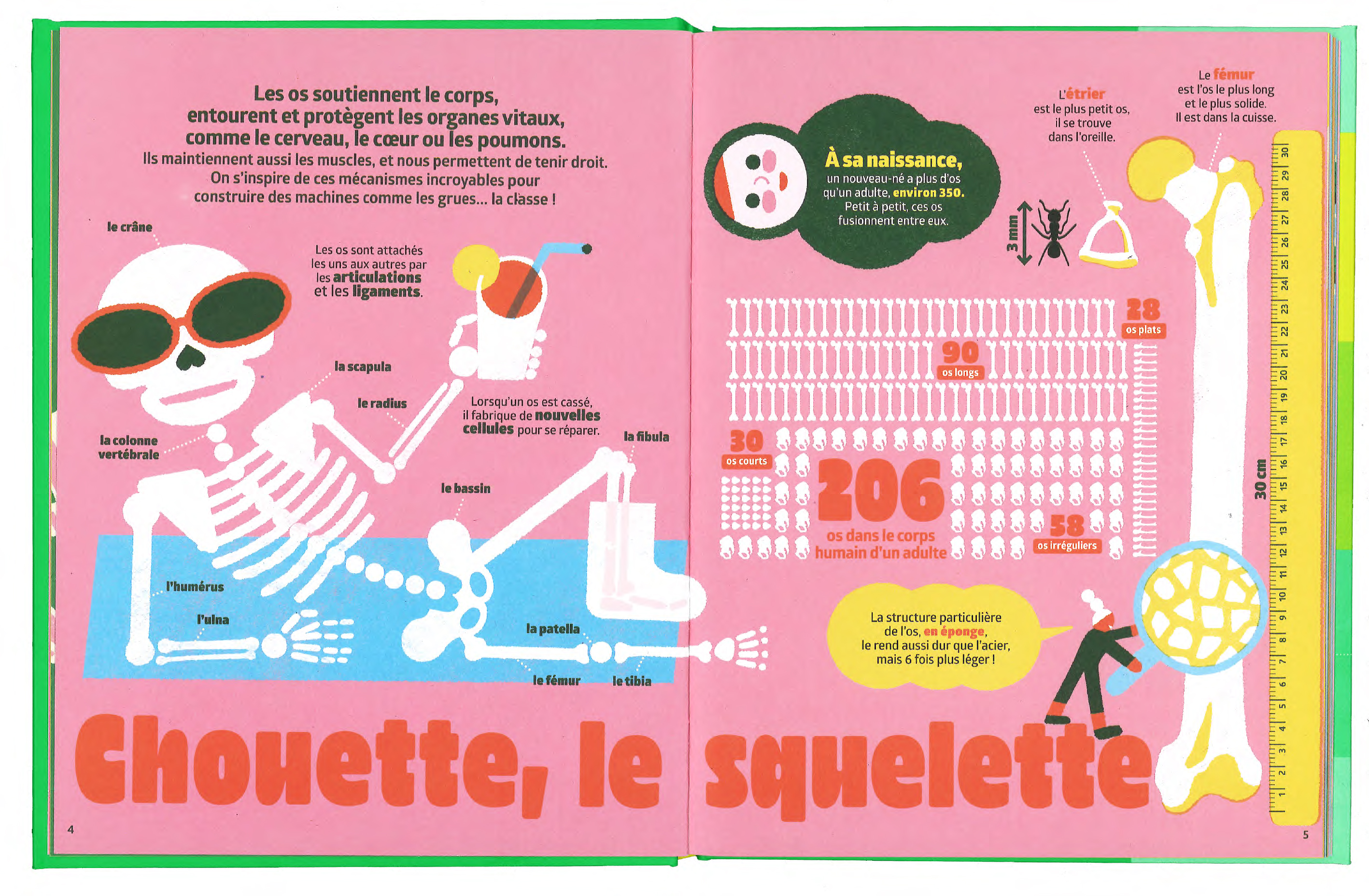 le corps humain boost nathan